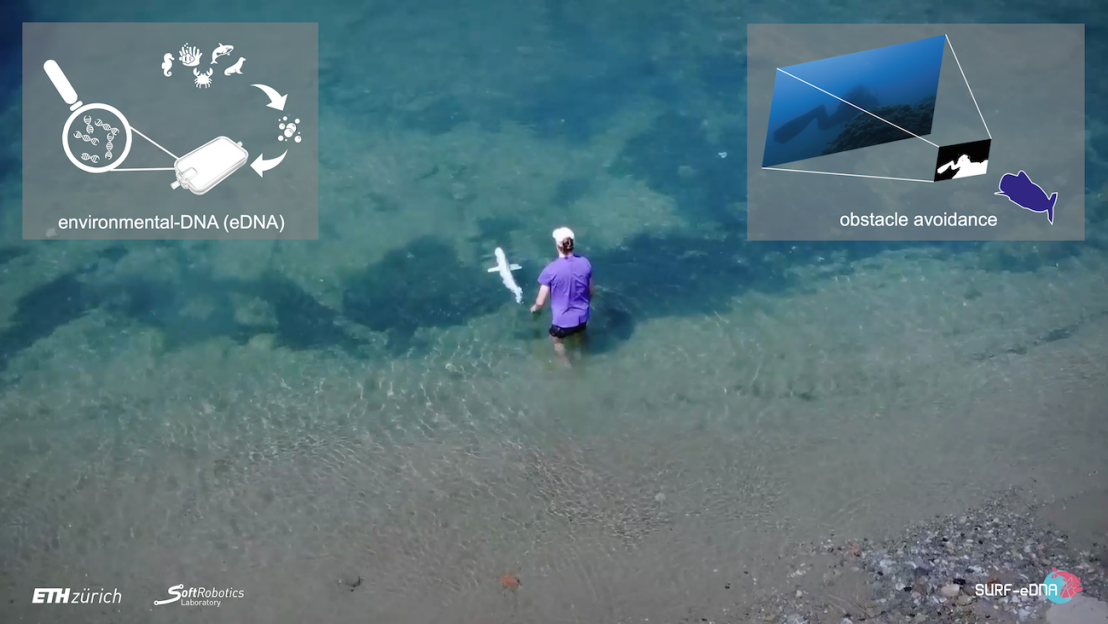 SURF-eDNA team releasing soft robotic fish into the ocean