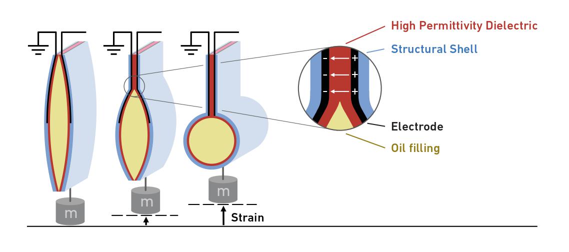 Sketch of the actuator