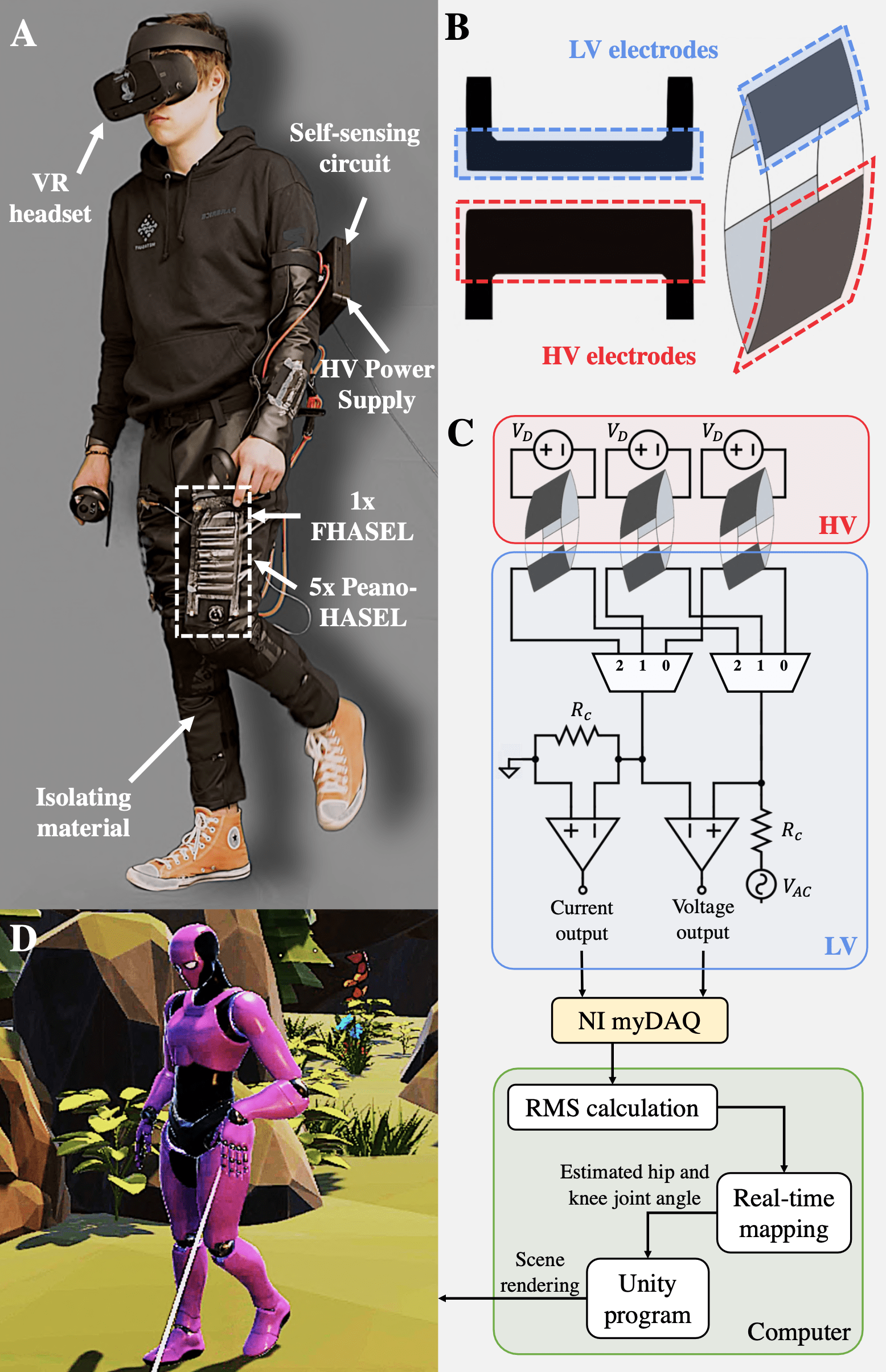 Electrohydraulic musculoskeletal robotic leg hopping on various terrain.